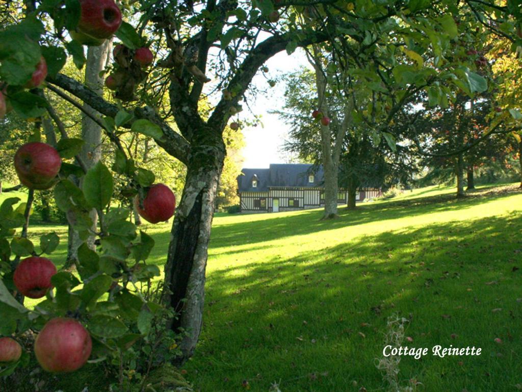 Les Fermes De Florence Bien Etre Et Nature Les Champeaux Rum bild
